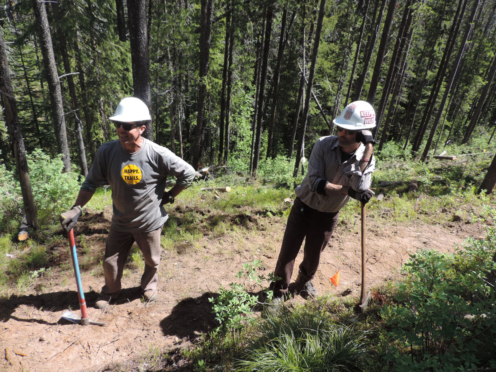 trail project 2